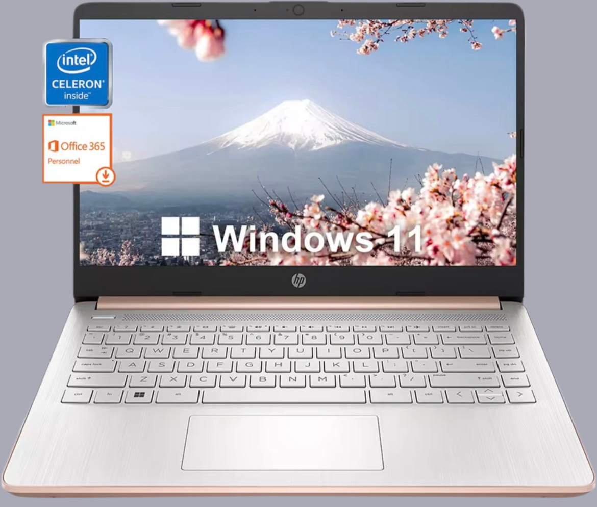 Windows 11 HP Celeron Laptop