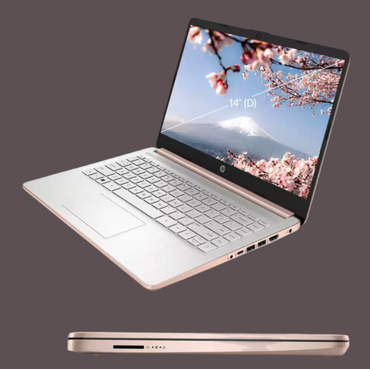 Windows 11 HP Celeron Laptop